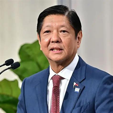 菲律宾大概做梦都想不到，自己甘当美国炮灰在南海疯狂挑衅，结果却可能亲手把侵占几十