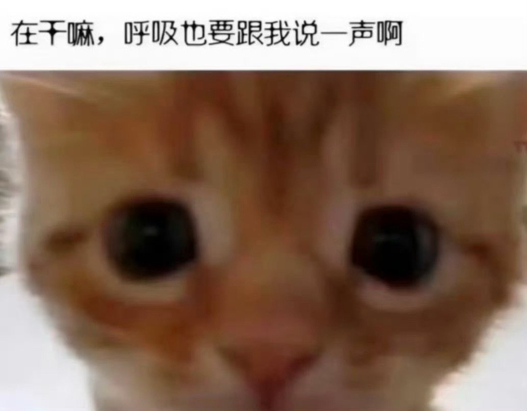 @ 我明星 ​​​