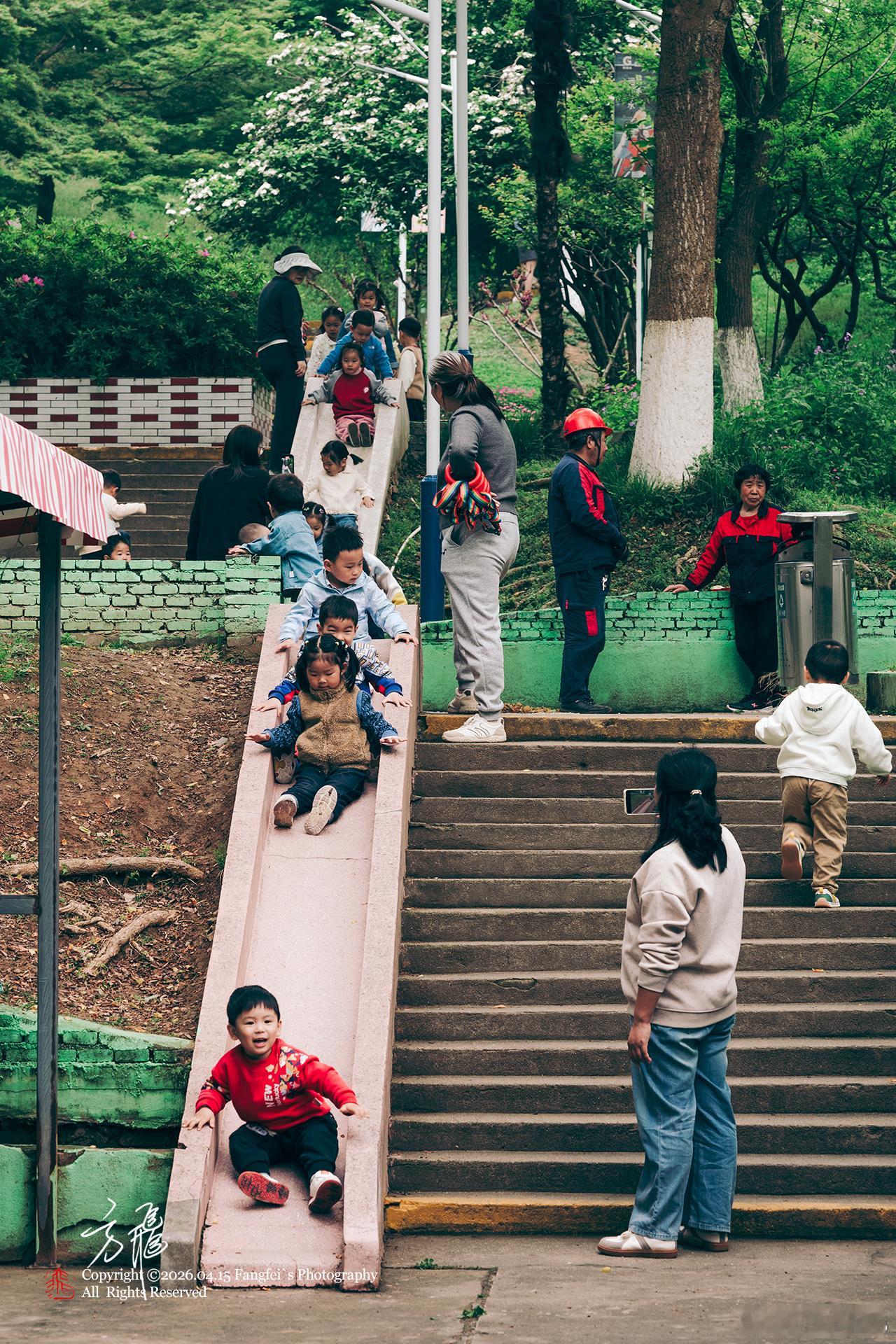 花又期 · 古林公园春有约 花不误岁岁年年 不相负南京的春天 藏在公园里治愈所有