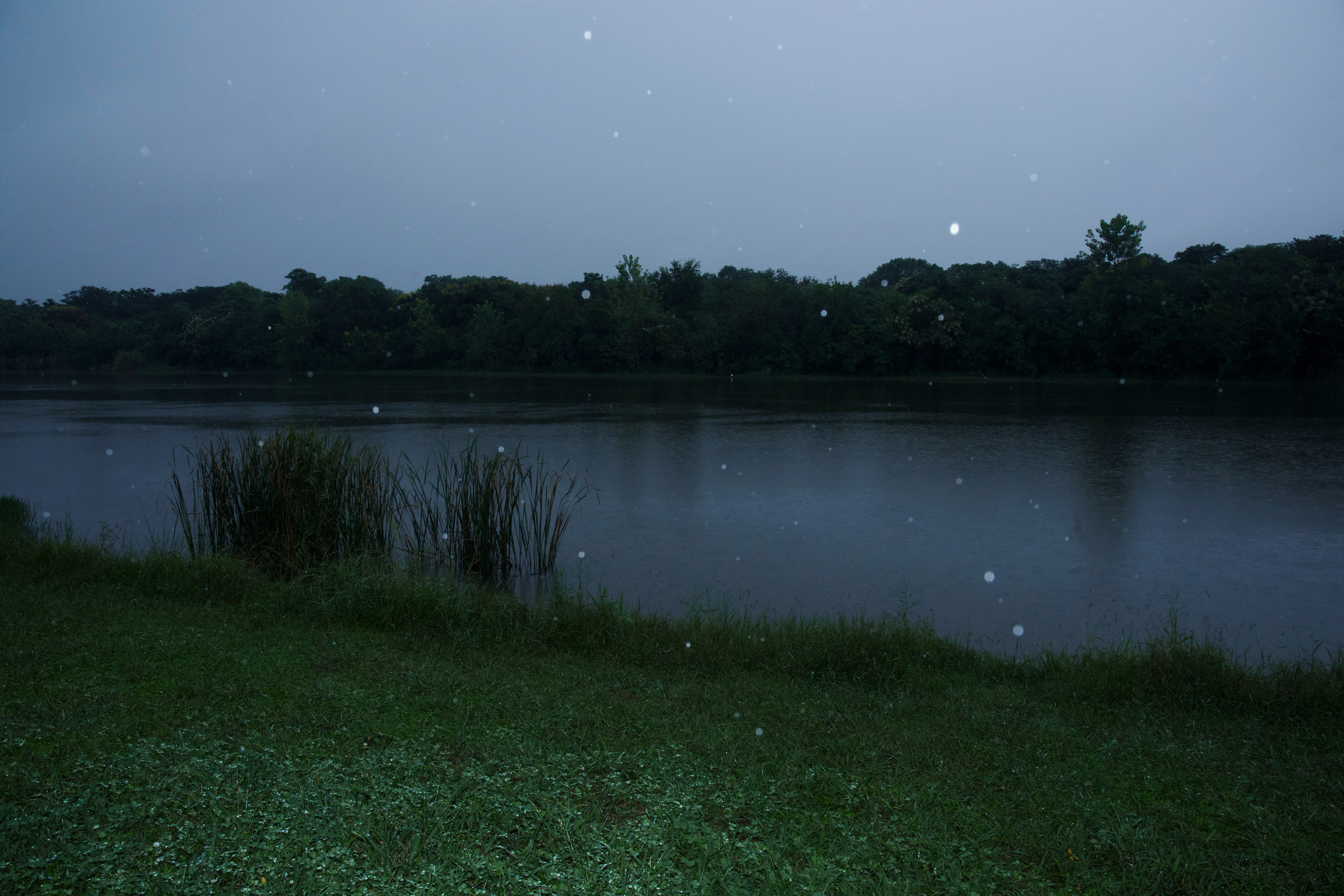 我站在雨里亲吻树叶  大地  雨滴一切像一场盛大而静谧的只为我一人举办的洗礼说人