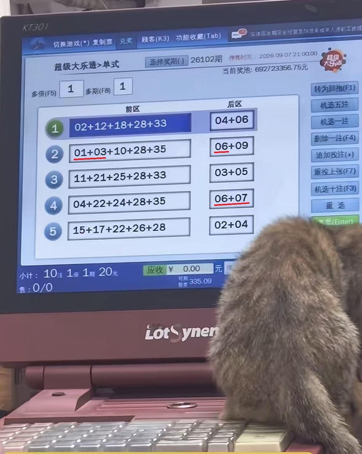 萌猫“选号”出圈！彩票店猫咪意外打出两注七等奖。

都说人比人，气死人，可你见过