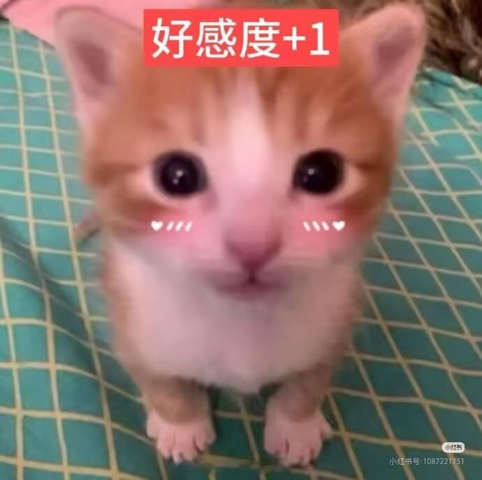 其实我是真觉得兔假熊威真的很爽…可能因为现实我是个受尽压榨的受气包吧！ ​​​