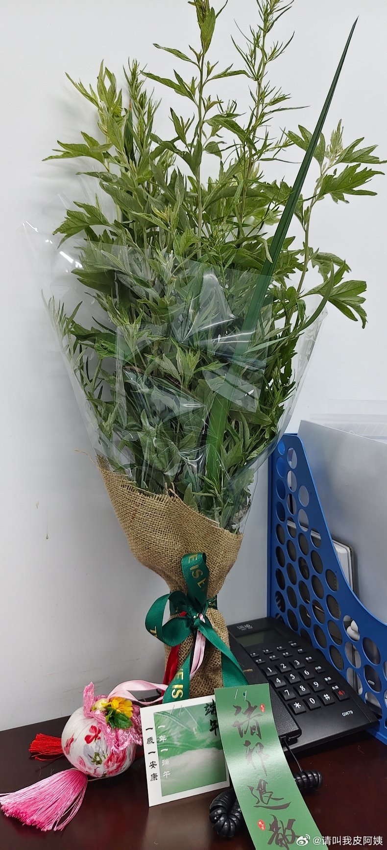 哈哈哈收到一束艾草花，这里有两种不一样的叶子。这个大叶子一定不是艾叶，小叶子我也