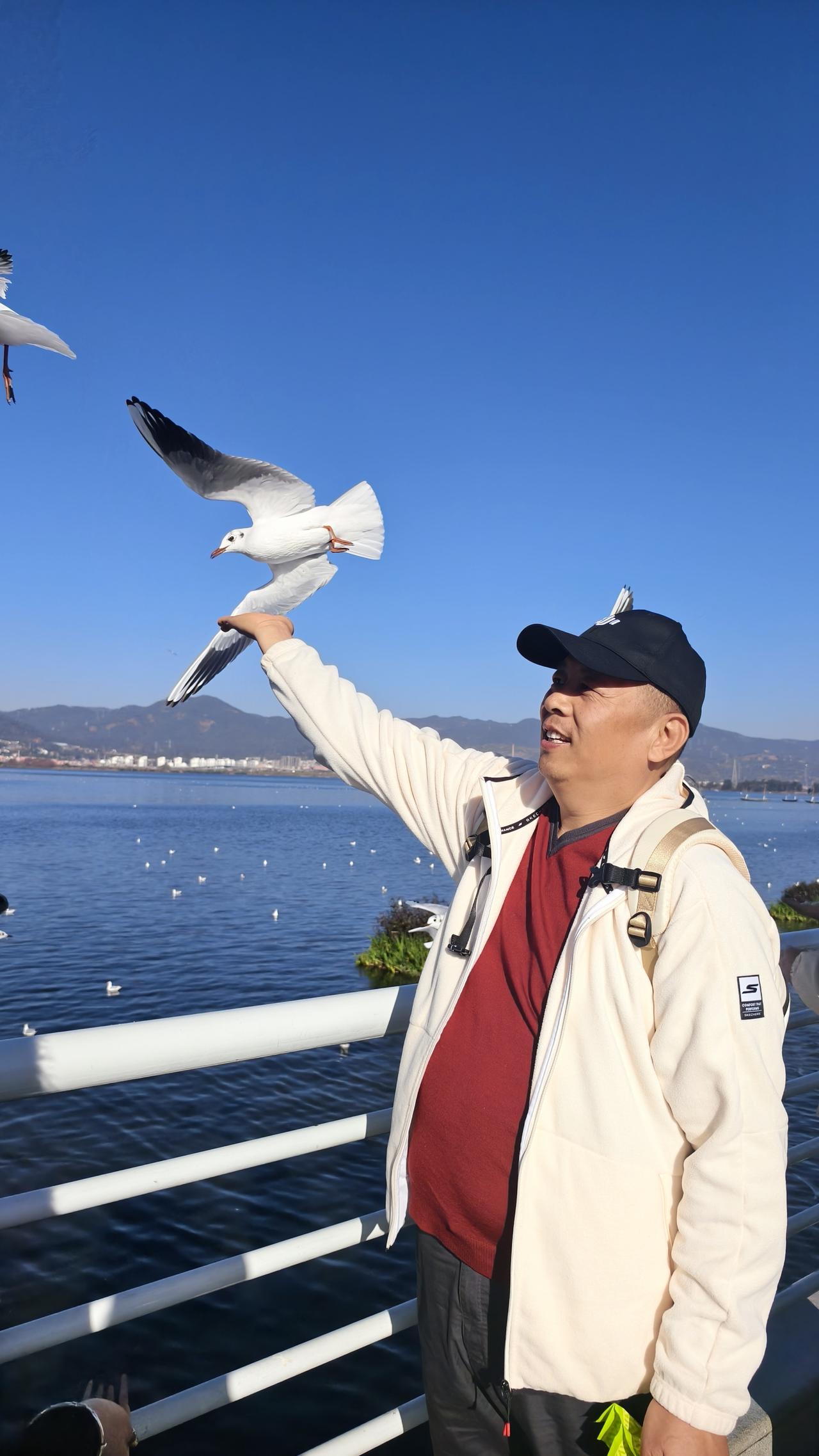 东莞→昆明看海鸥自驾小记
从东莞出发走广昆高速，全程约1200公里，车程按两天规