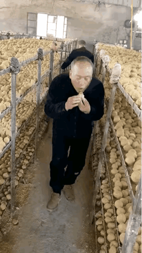 这是松花蛋吗？不但没有花纹，还是透明的，看着像玩具蛋，弹性很足的样子，吃起来也是