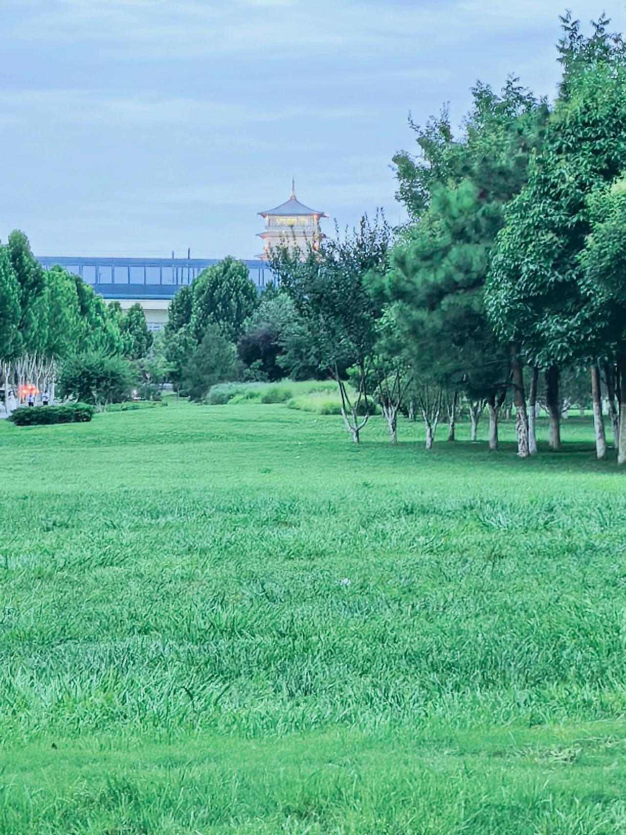 偶遇西安的“城市绿肺”，这片免费的绿地，藏着古都的温柔
不用门票，不用预约，带上