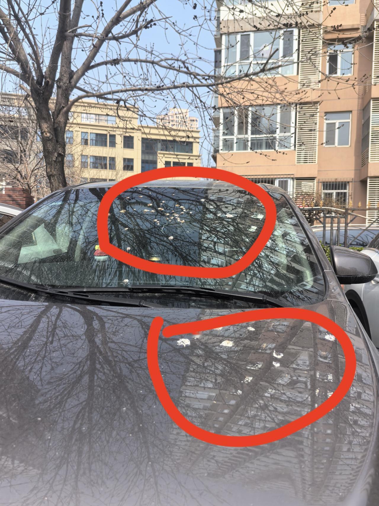 中大奖了，这是什么神仙运气啊？

难道是空姐们晚上来这开会了[捂脸]

真的是无