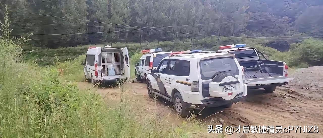 失踪十多天，这个花季女孩程梦园今天中午被找到了，可惜已经离世了。
近日中午，有人