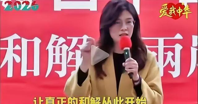 郑丽文在大陆的一句“让一切的仇恨到此为止，让真正的和解从此开始”，表面像一句劝和
