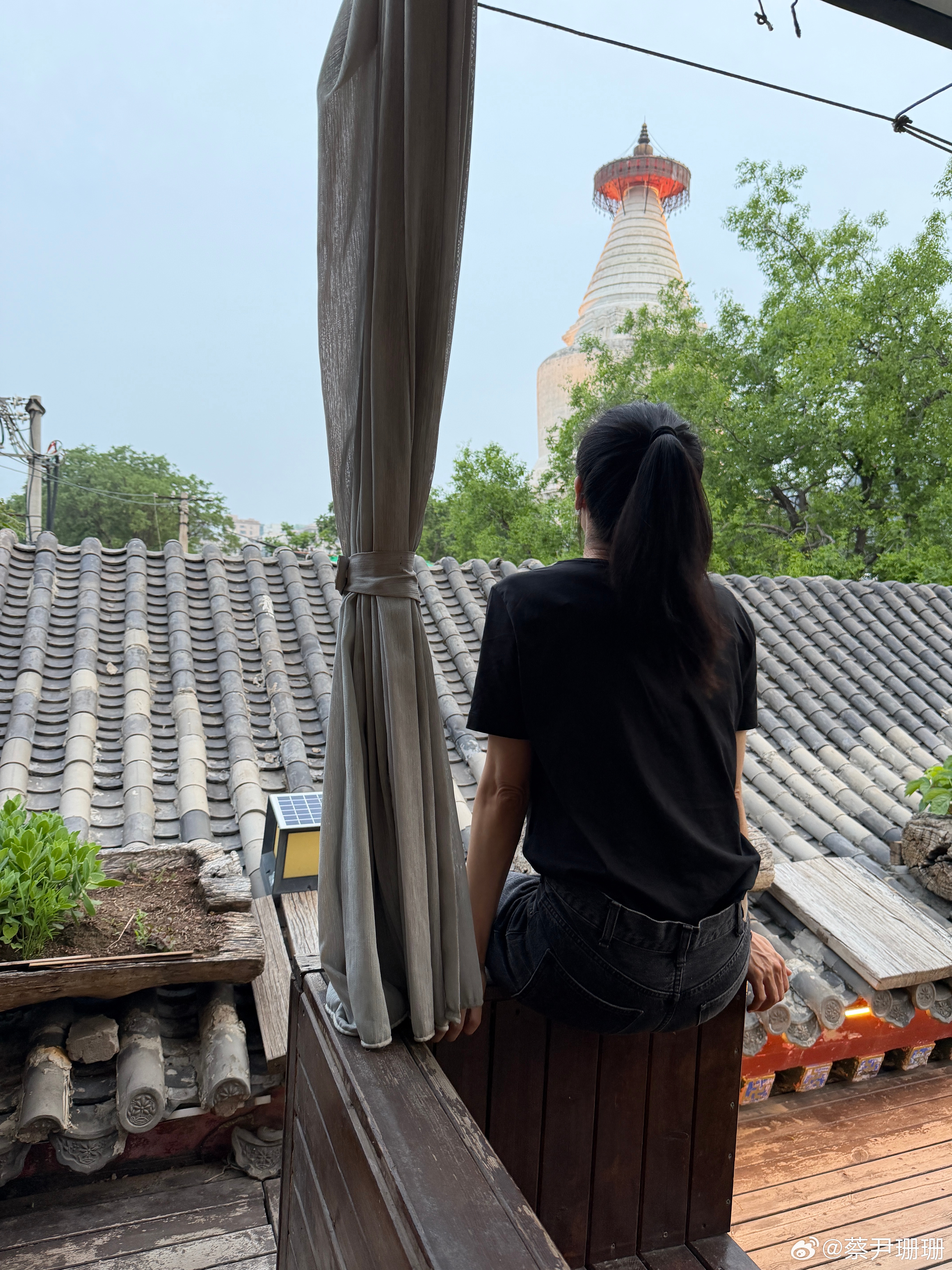 今天训练状态回来了，倍儿有劲儿，容量不小了也没力竭。严格恢复正常饮食，不用一天加