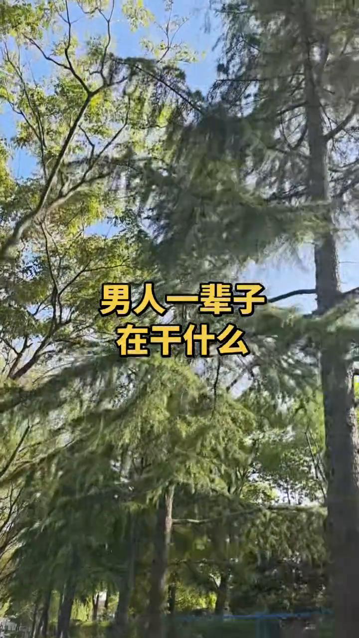 男人的一辈子在干什么？
男人的一辈子，辛辛苦苦赚票子，省吃俭用买房子，攒下钱来换