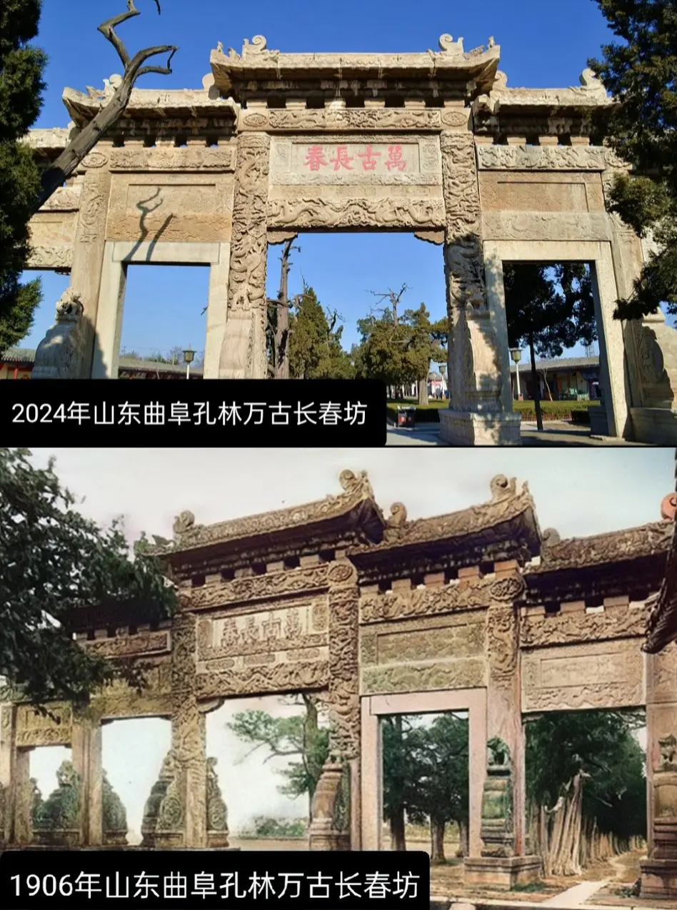 孔林位于山东省曲阜市城北1千米，占地3000余亩，是孔子及其家族的专用...