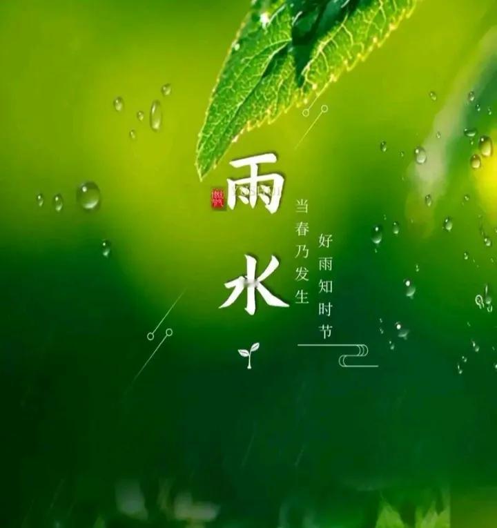 雨水时节，愿你的心情如春雨般细腻，愿你的事业如雨后春笋般蓬勃发展，愿你的生活如雨