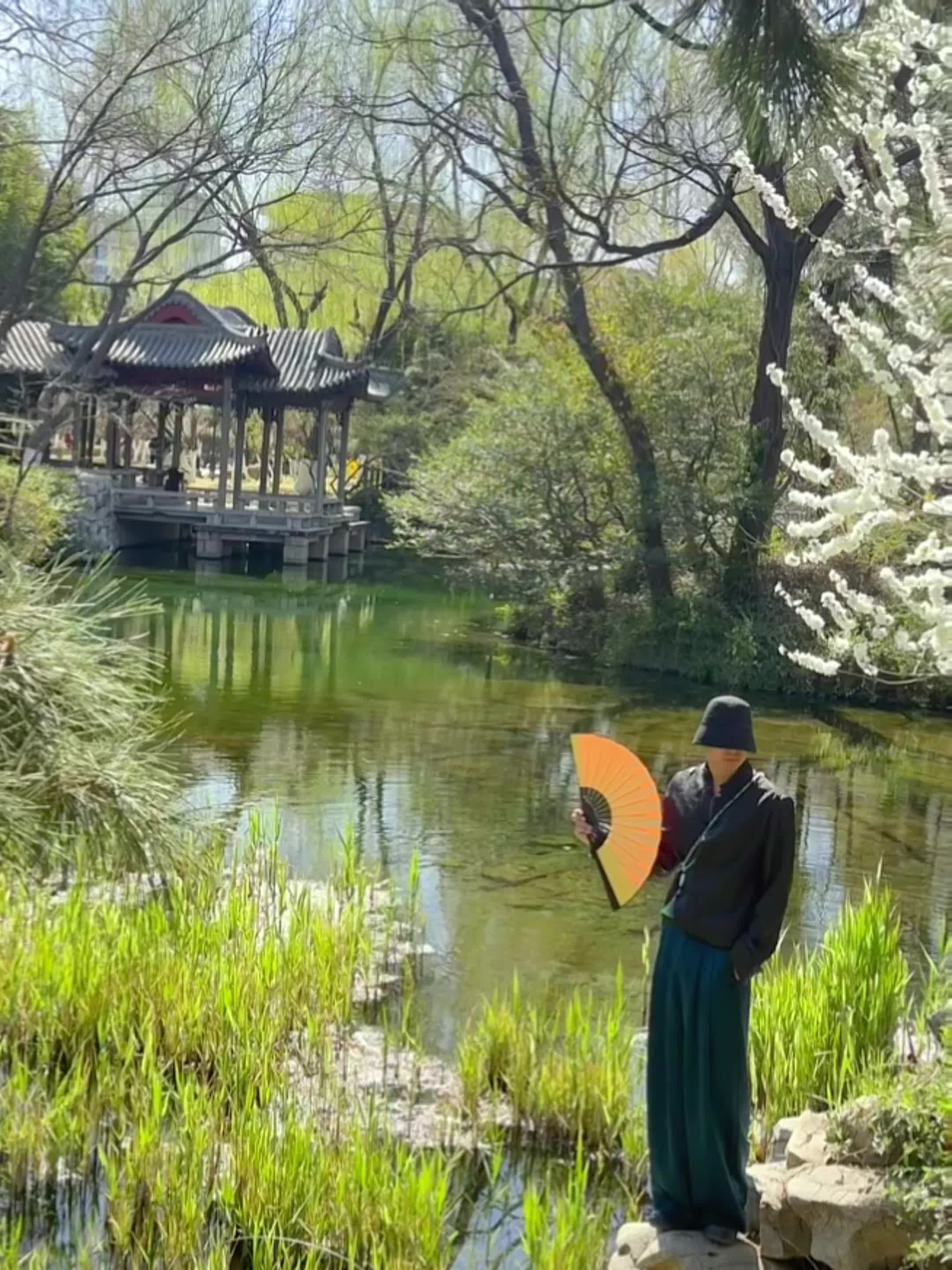 这里是老舍笔下 济南的春天