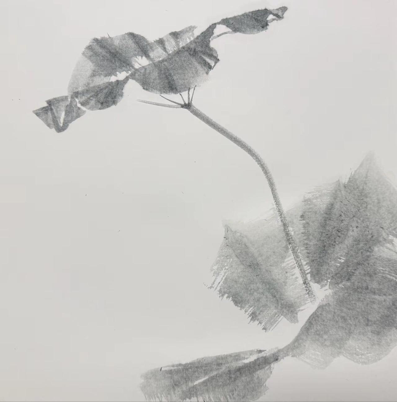 水墨《荷塘野趣》小诗题画，谁读懂画的悠然。《荷塘野趣》，小诗题画，谁读懂画里的悠