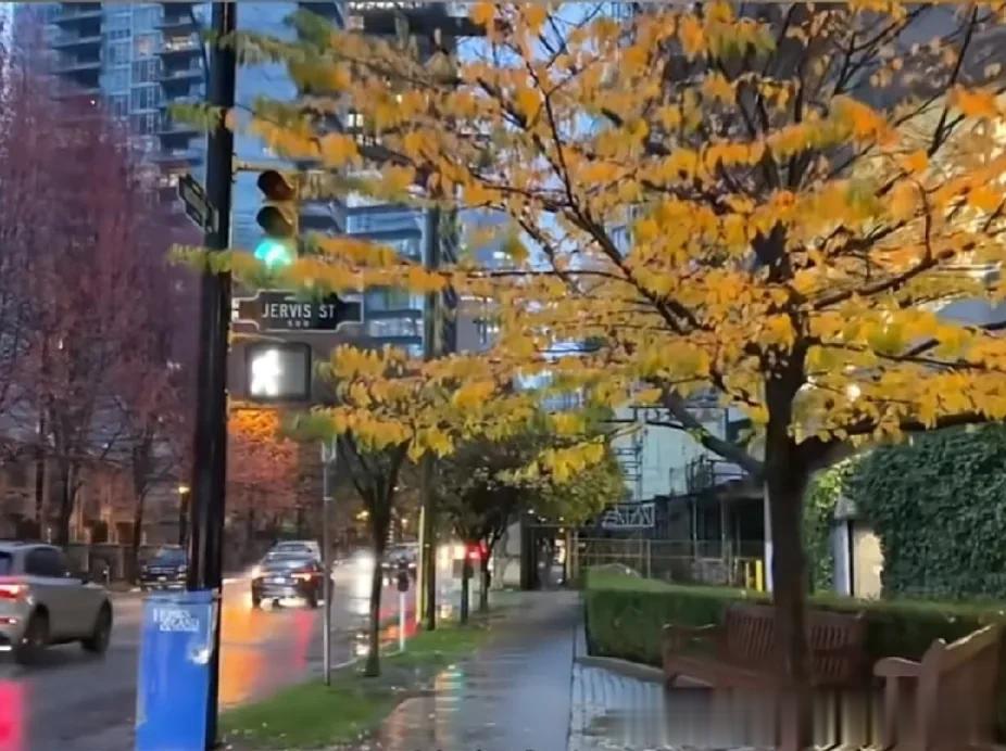 人生，没有永远的伤痛，再深的痛，伤口总会痊愈。人生，不会永远都只有痛，学会去享受