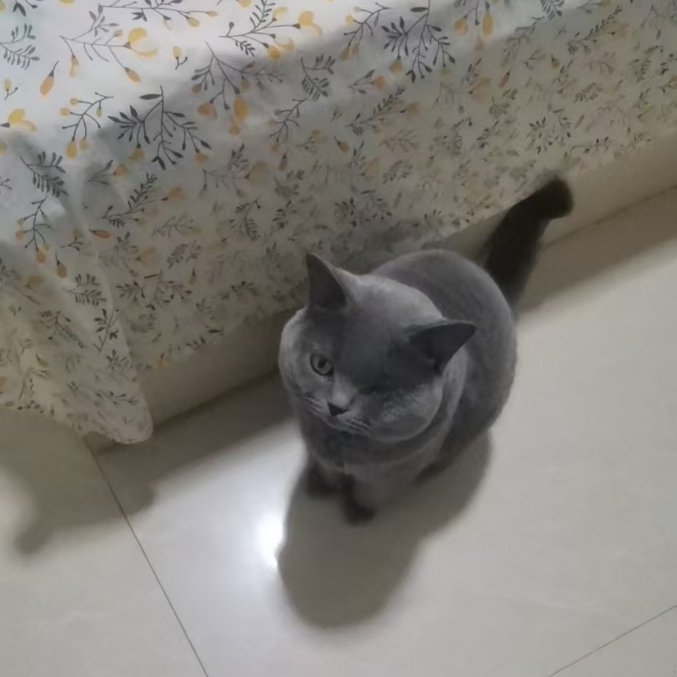 25563(喵喵)宝贝小脸蛋小嘴巴怎么这么圆呀 ​​​