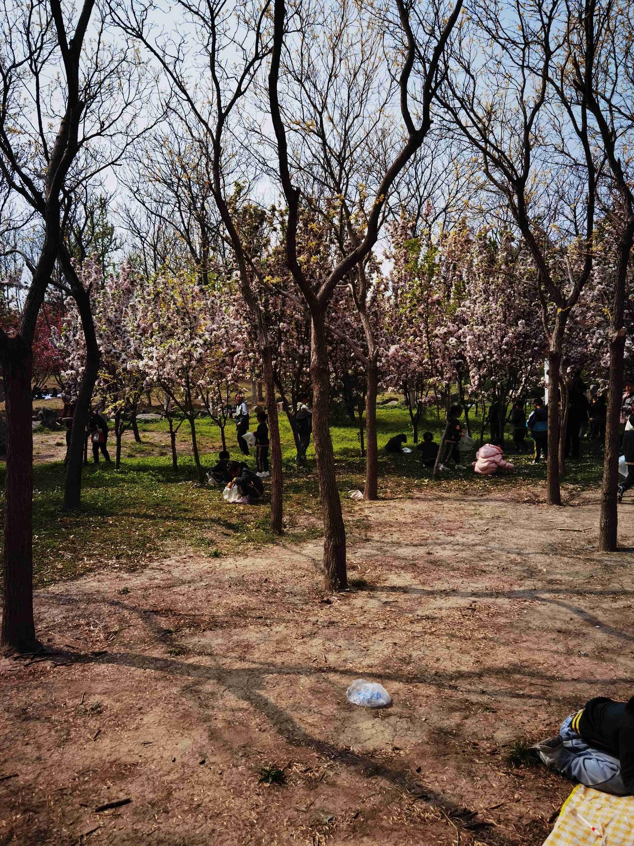 我的今日状态：😁轻松愉快
我这里的天气：☀️晴天