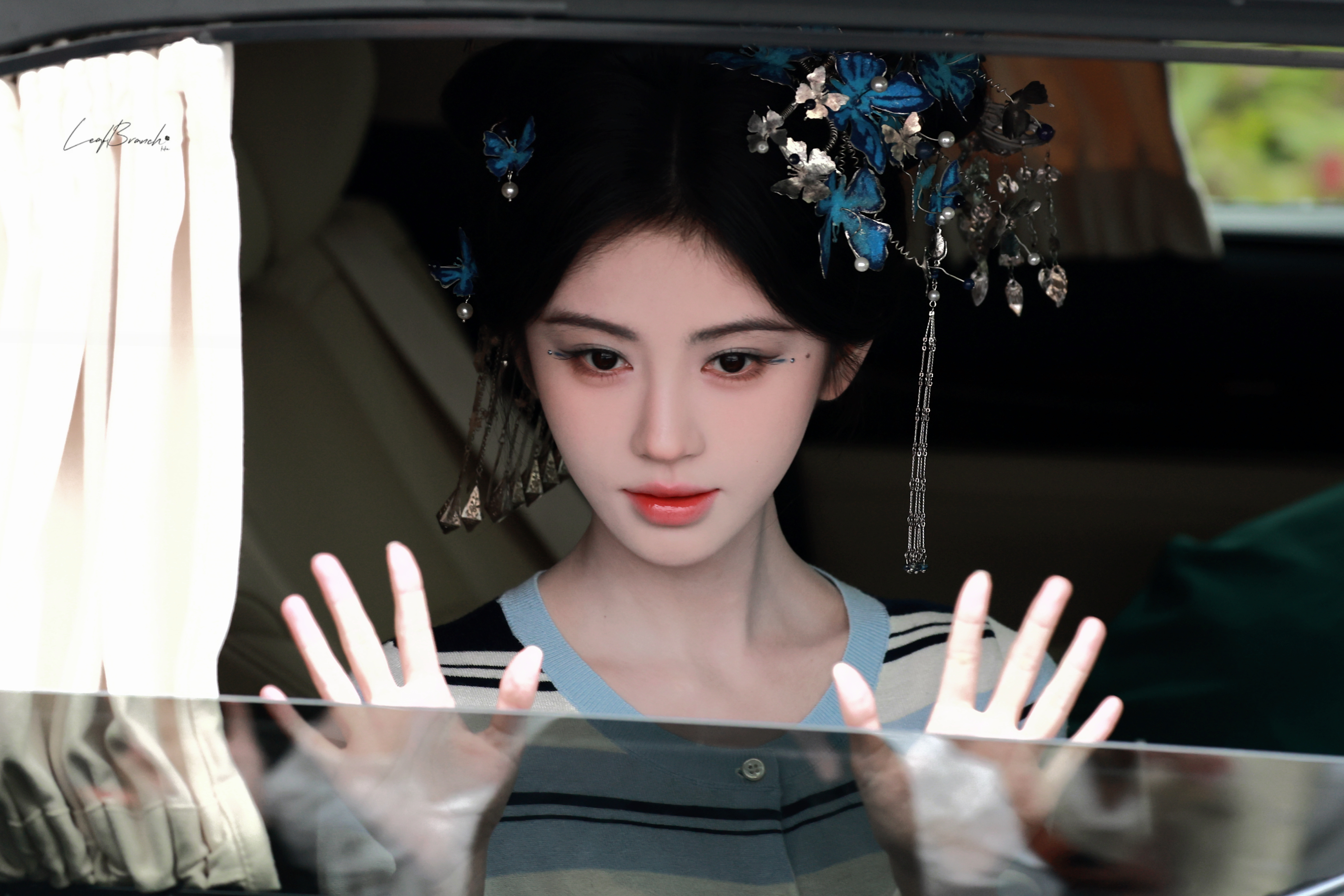 蓝孔雀鞠婧祎苏绿夏
