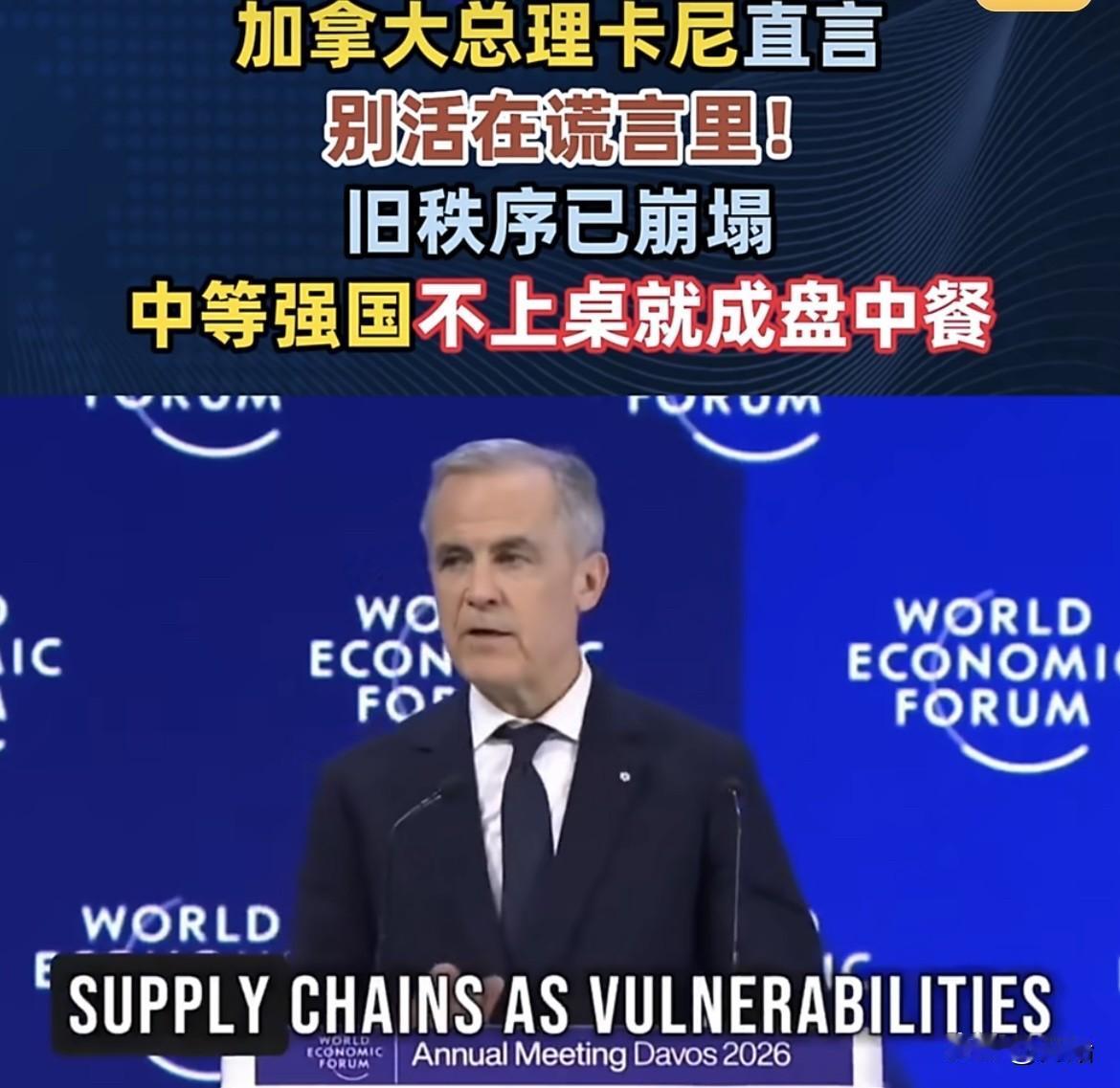马克·卡尼在达沃斯论坛的演讲显然是弄错了，他对中等强国“抱团取暖”的设想或许过于