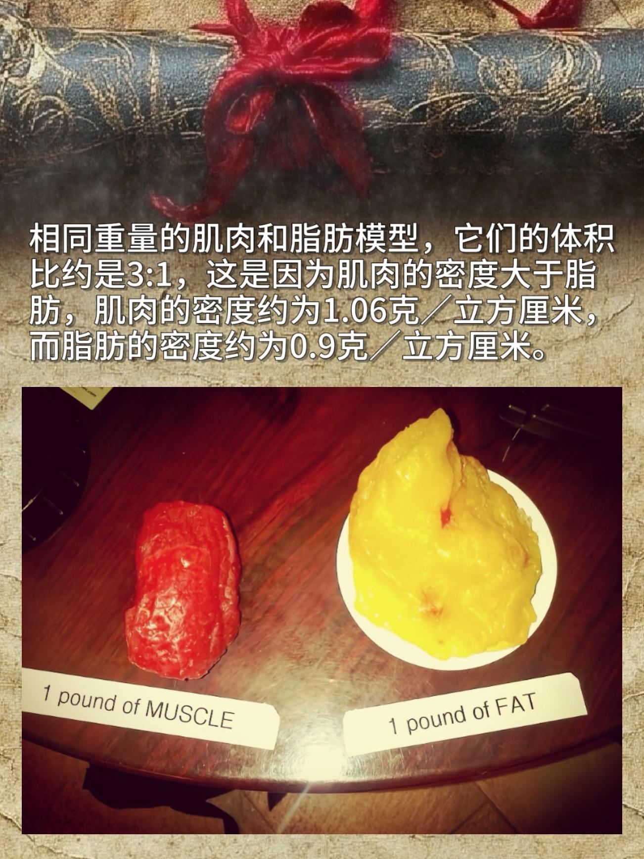 原来相同重量下，肌肉和脂肪的体积比能达到3:1！📏 这是因为肌肉密度...