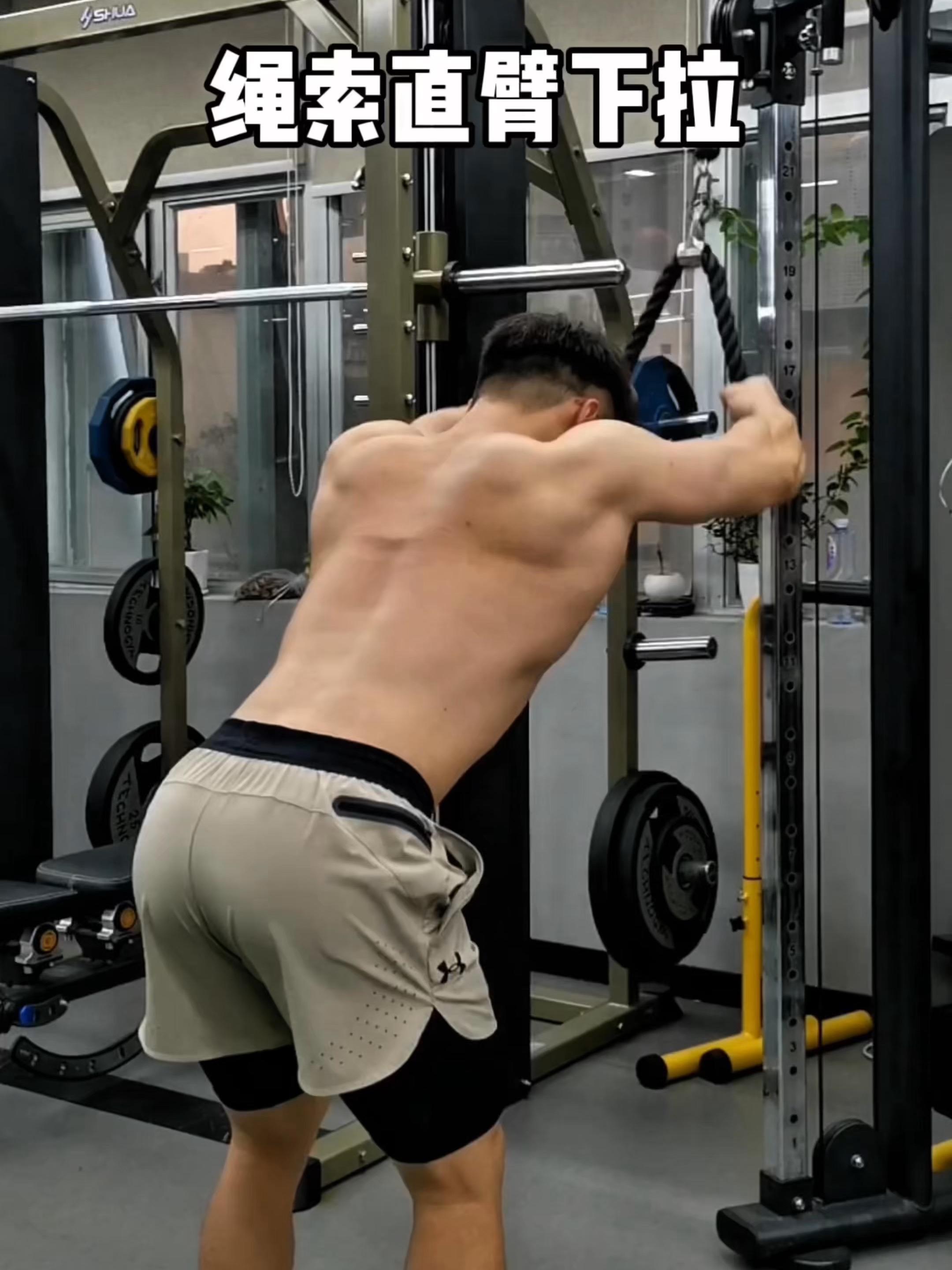 绳索直臂下拉，保姆级教程！ 一、目标肌群 绳索直臂下拉，背阔肌外侧 二...