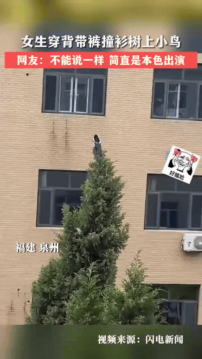 解释不清了！
福建泉州，一女孩和妈妈在楼下散步，突然听到妈妈说:“你转过去，我给