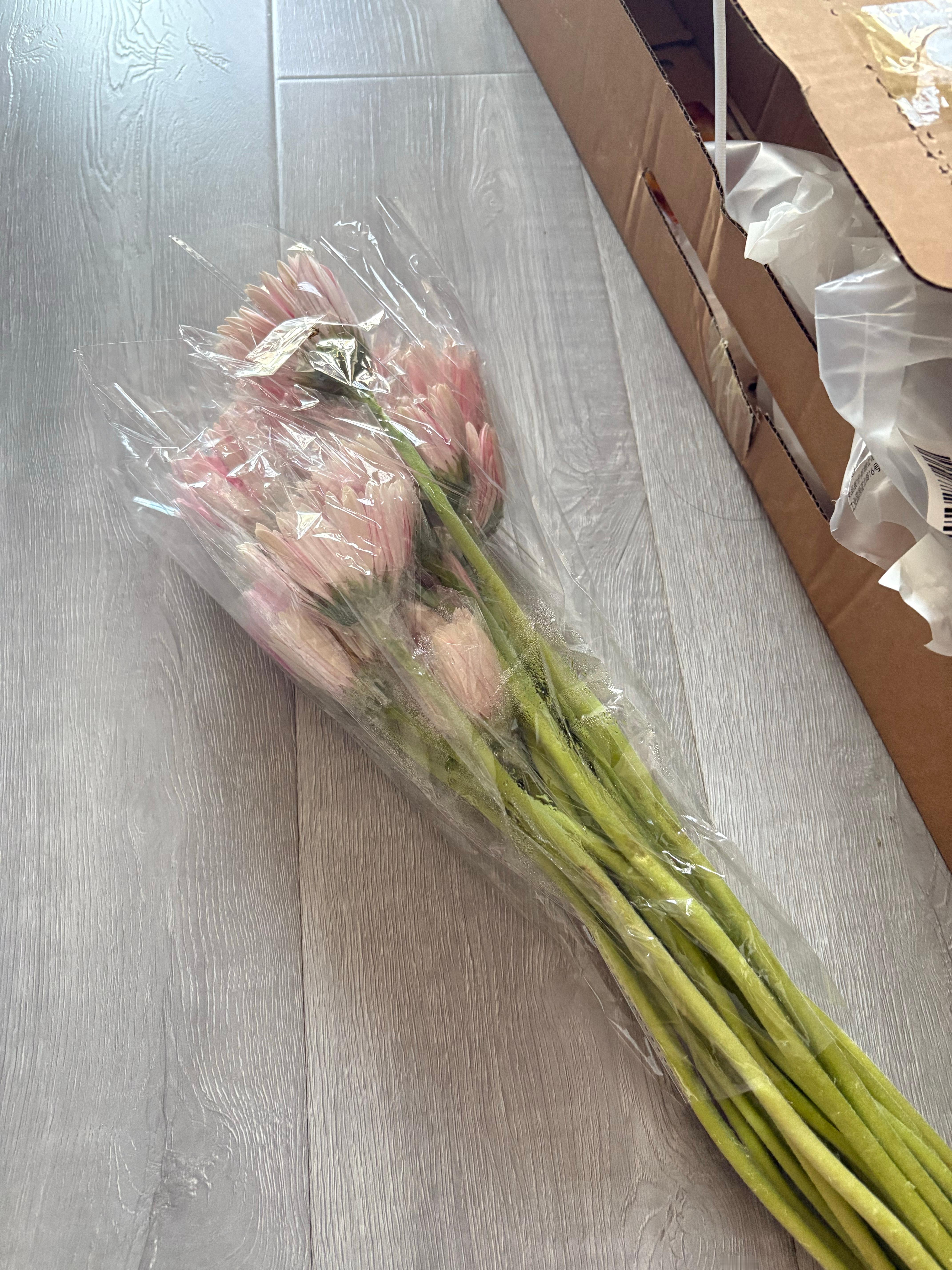 肯定是周周给我买的每月一花我爱她[兔子] ​​​