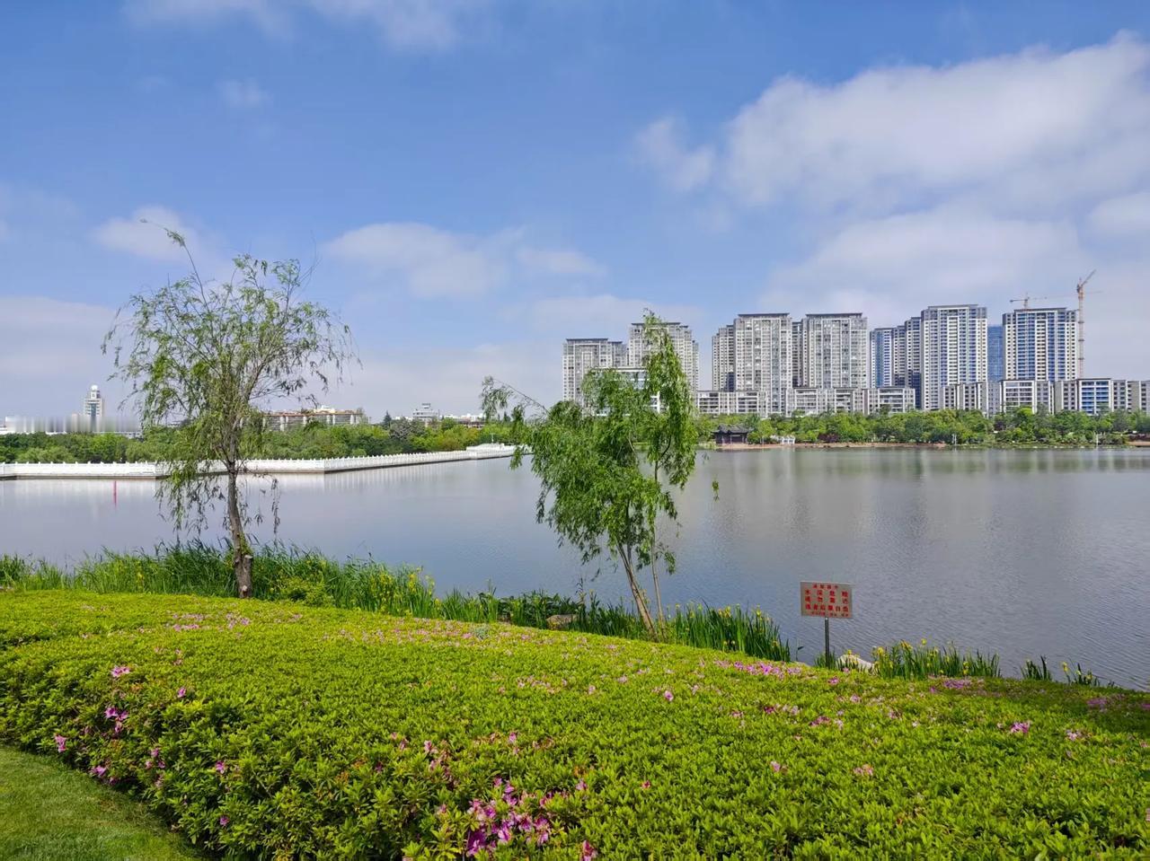 哈马斯的阿克萨洪水，本是在幕后金主的唆使下，想给普鹅解围，最后的结果却是引火烧身