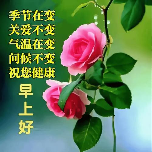 早上好呀头条友，

太阳刚升天边游，

早起忙活不停留，

心情舒畅乐悠悠，
