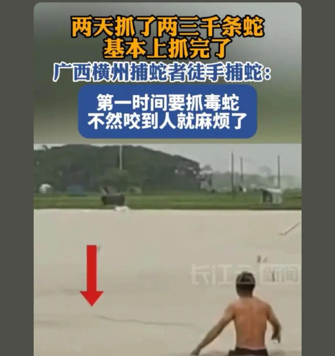 我对蛇的害怕程度，鬼排第二，蛇排第一，真的能吓死 如果同时遇到鬼和蛇 我要求着?