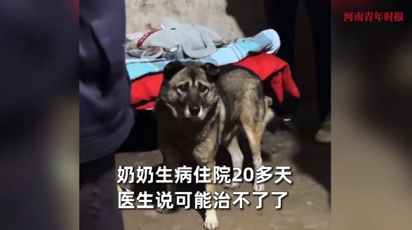 “万物皆有灵！”9月25日，四川绵阳，一老太生病住院治疗无望，被带回老家躺着后，