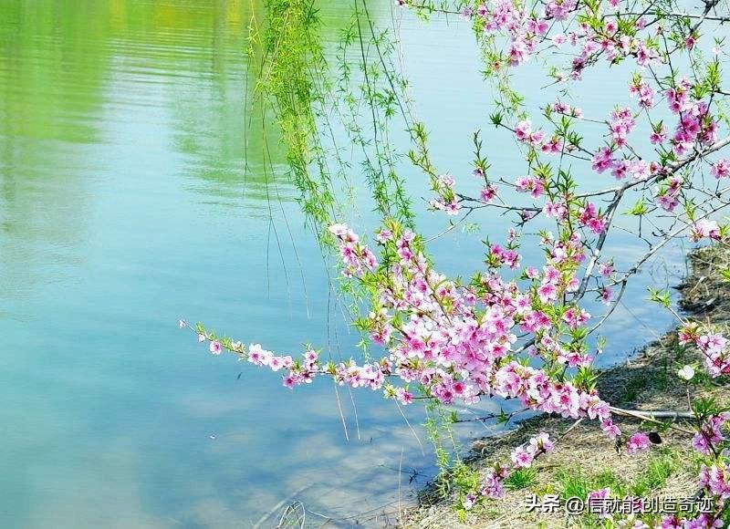 春分
 
春分时节昼夜均，
天人相应自相融。
和风拂面心神爽，
丽日临身气色红。