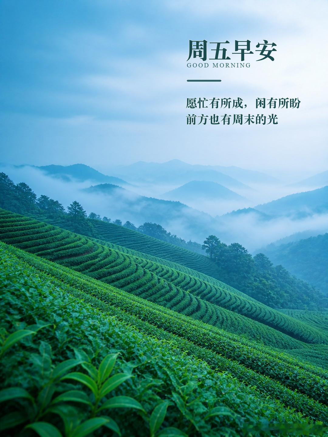 我们不必反复为过去停留，那些走过的路，早已成为生命的底色。 愿你心怀感谢，轻装向
