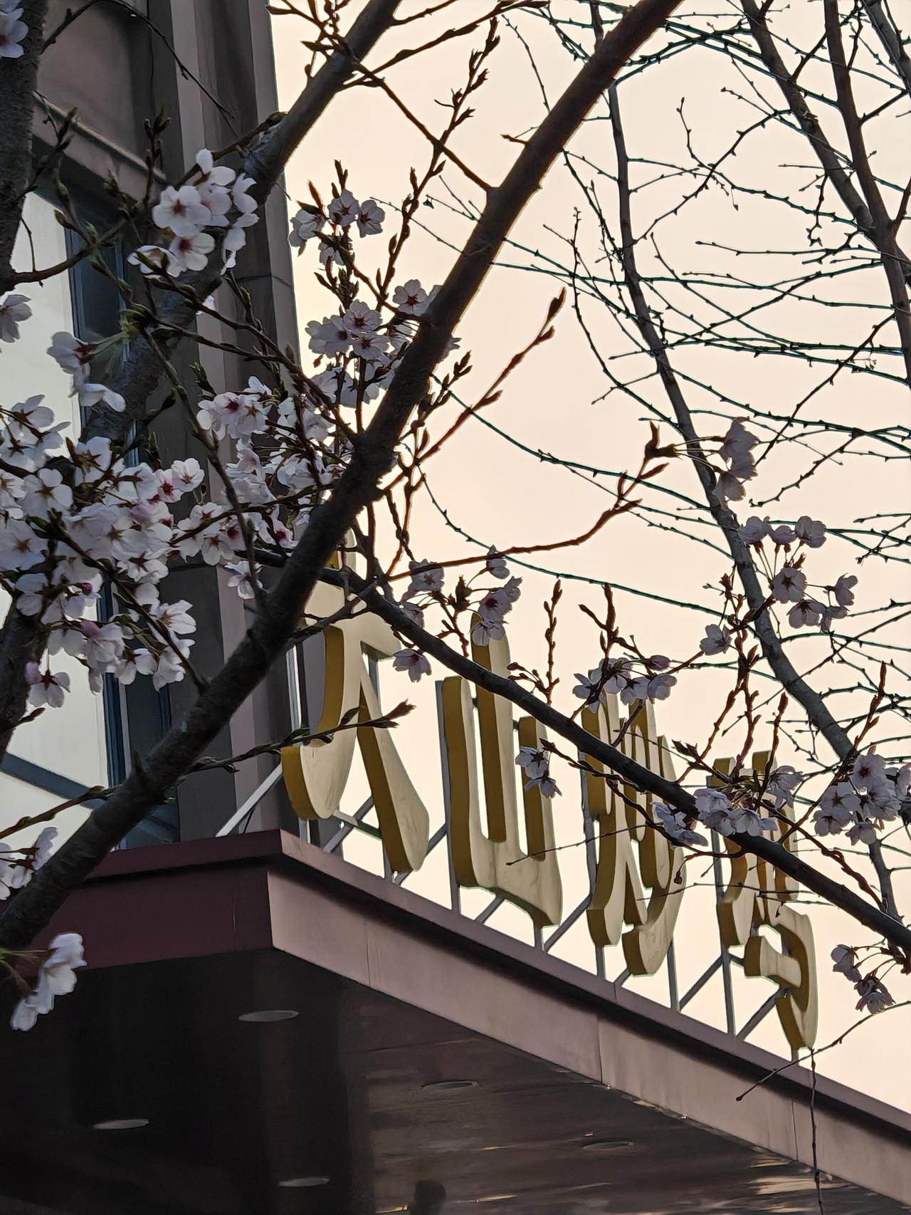 你喜欢慢跑么,一般跑多远? 慢跑不那么激烈，能轻松享受运动的快乐。刚开始的时候，