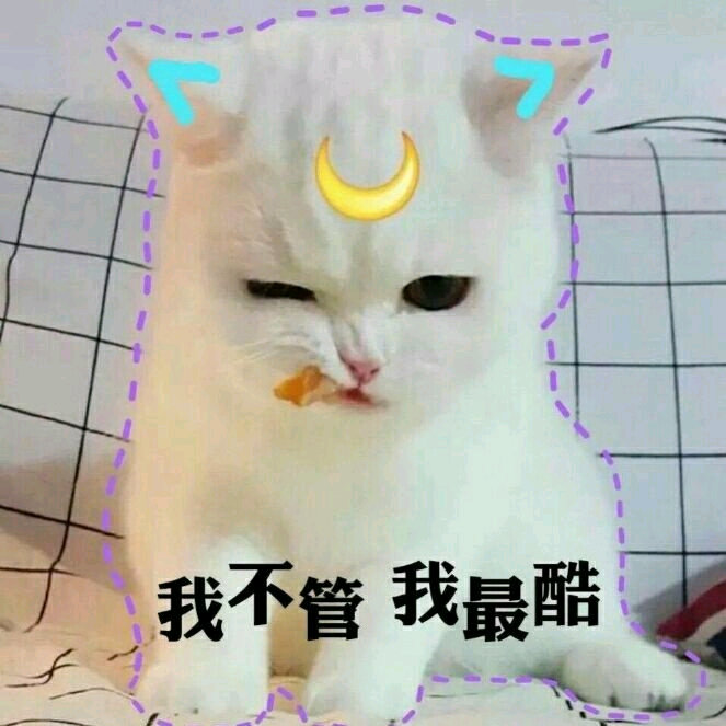 王宁带星星人参加记者见面会 看着它从北京出发一路走到世界舞台，这种成长的感觉真的