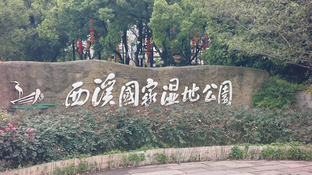你是宋高宗赵构,你会不会杀岳飞? 西溪泛舟 杭州生态打卡 
今天游玩杭州西溪湿地