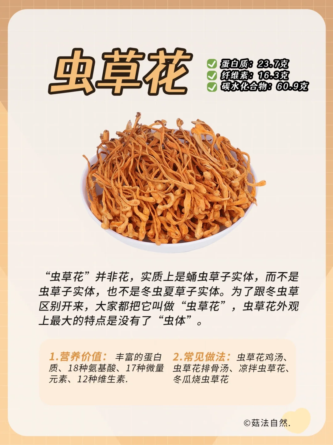 🔥每日菌菇科普——虫草花❗️