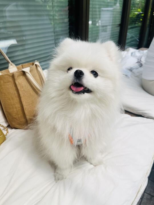 靠本事要饭