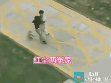 女人己经开启拚命模式，而且她以为自己打的过男人，这就是女人被男人打惨的原因。