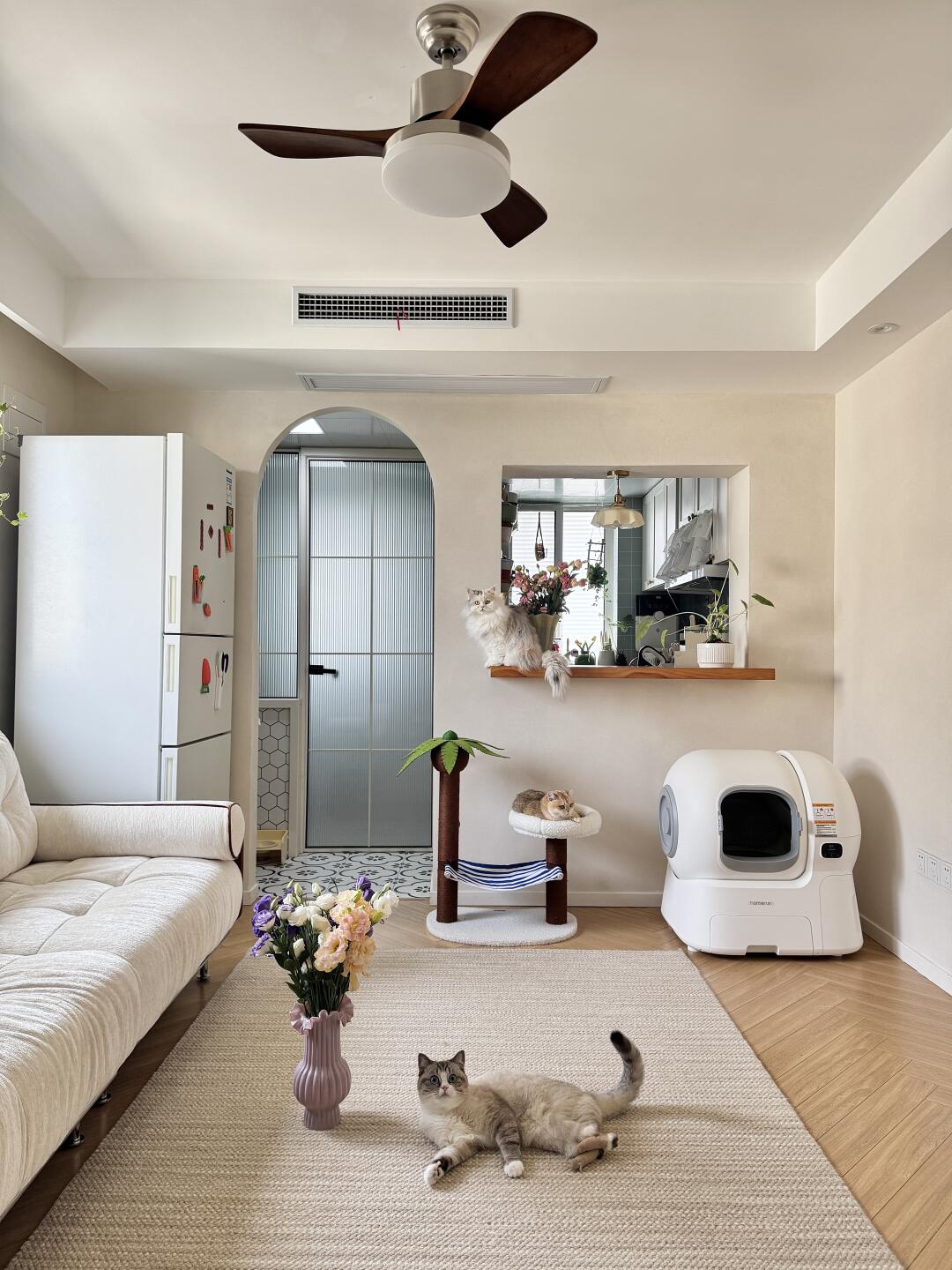 65平小家｜干干净净的味道，猫和你都想了解