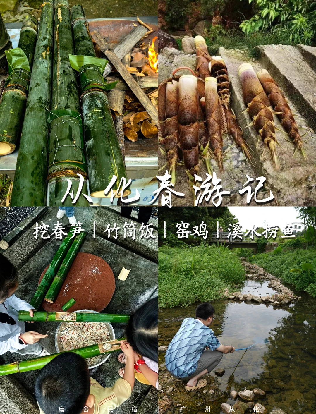 春游上春山，挖春笋，竹筒饭！从化打野乐趣