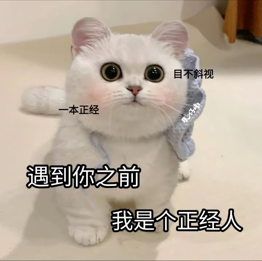 早八的我被白西装勾引的精神抖擞 