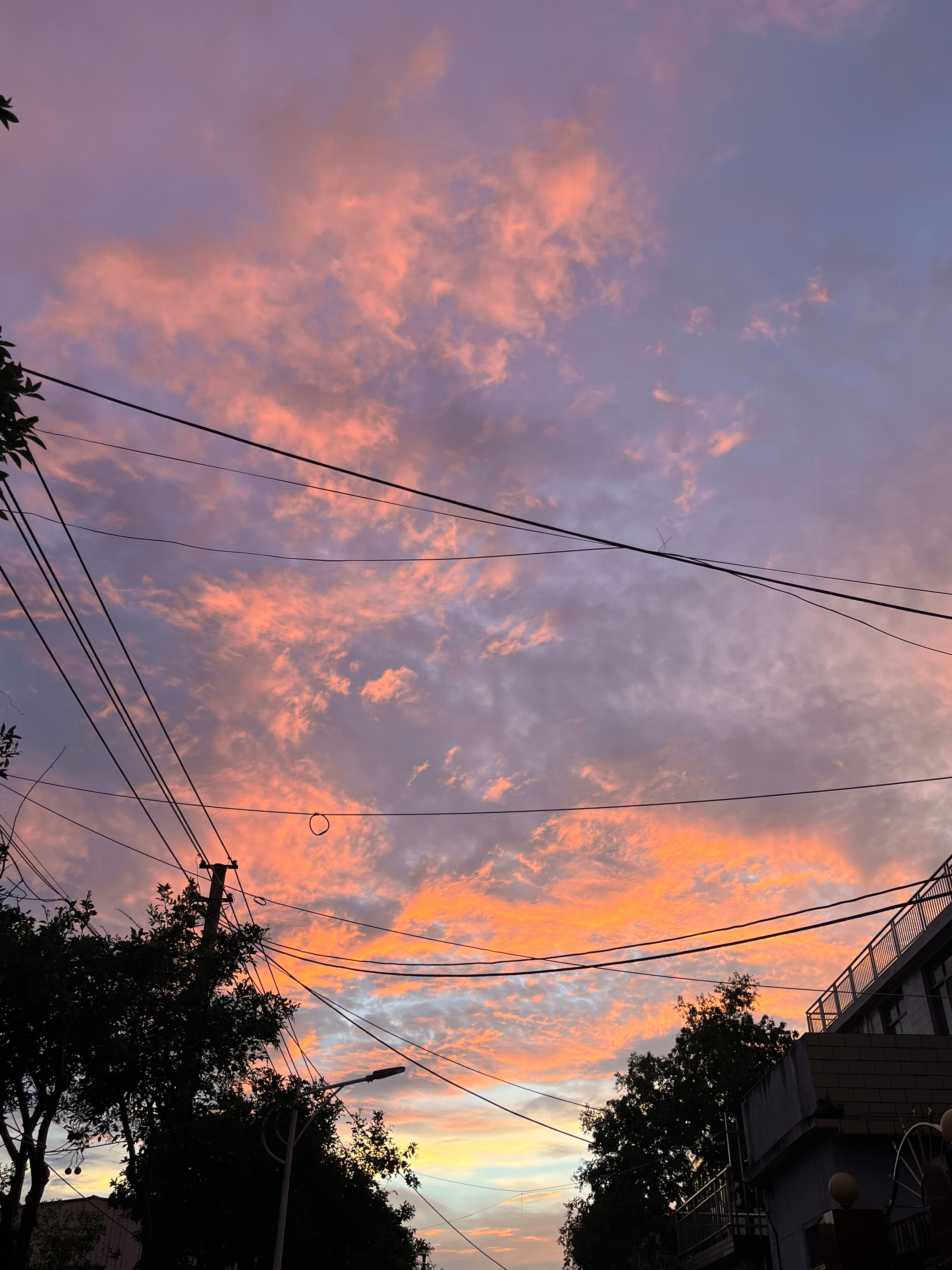 下过雨的夏天傍晚—— 