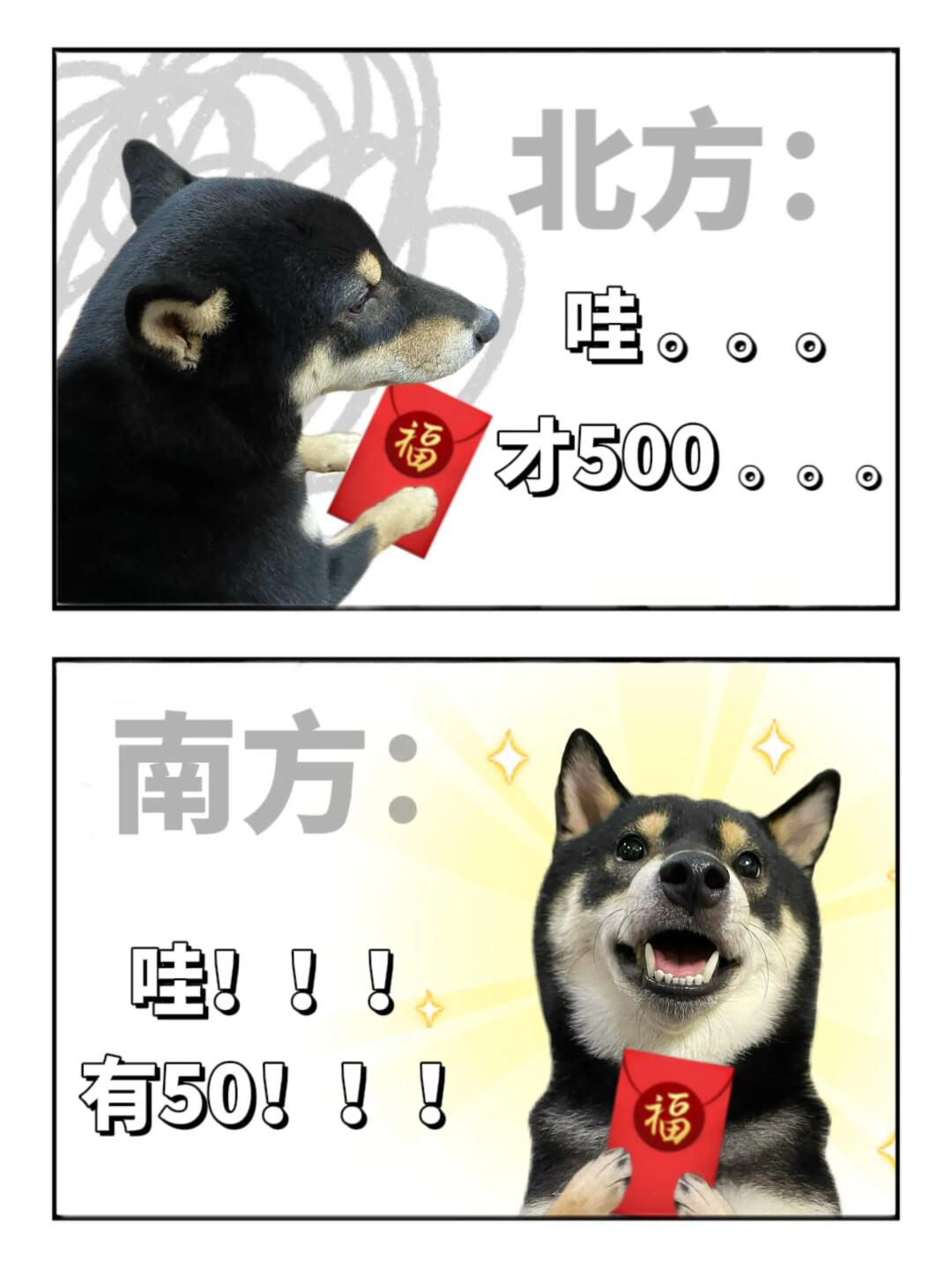 表情包|南北方过年的差异🤔