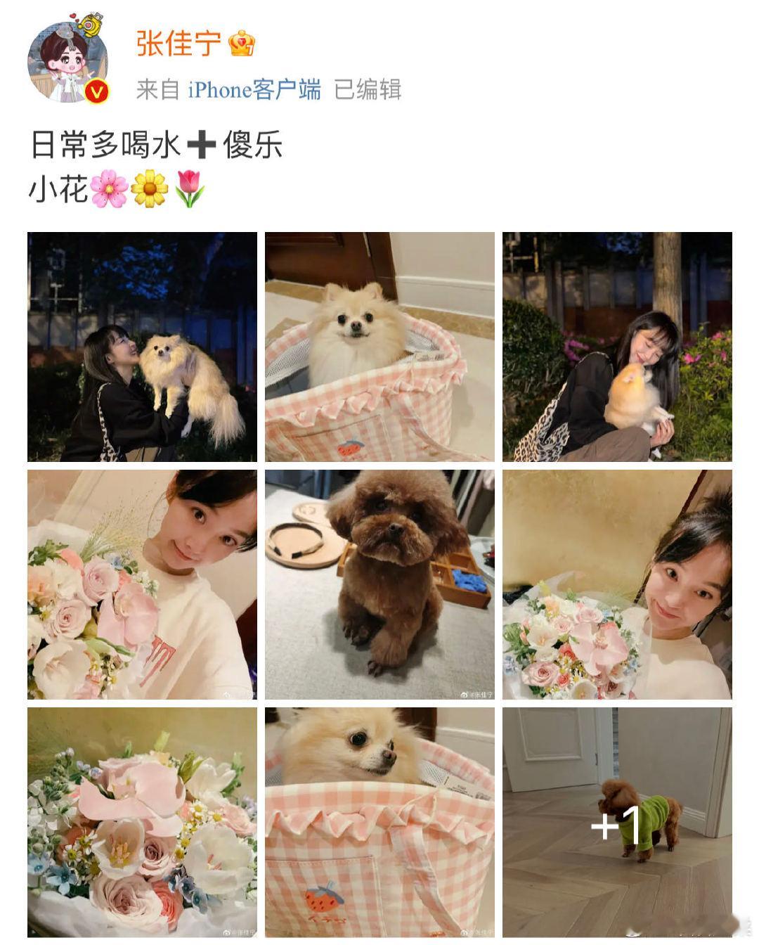 #张佳宁卡皮巴拉系艺人#真的很羡慕张佳宁具有稳定的精神内核，这样的精神状态是非常