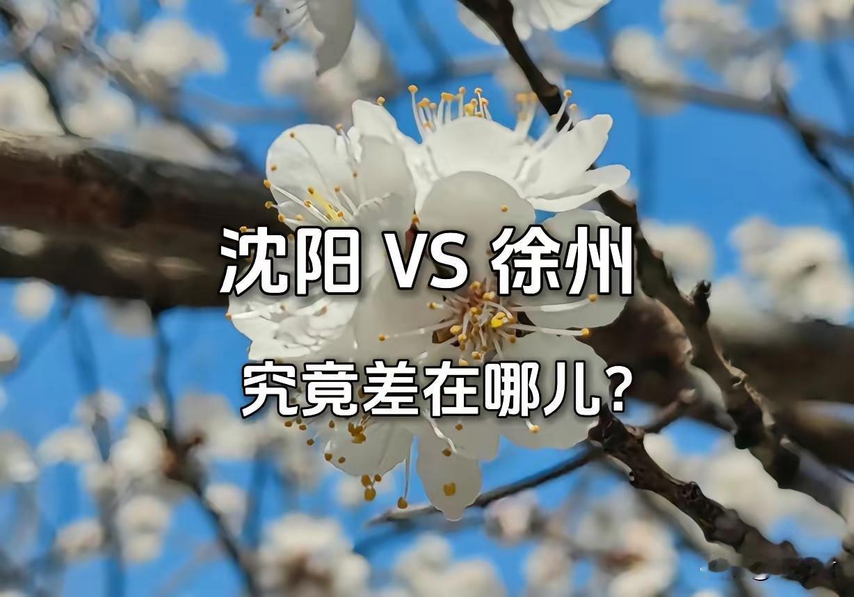 记录我的2026 老徐别飘飘然了，比拼沈阳，除GDP、人均GDP略胜一筹外，其财