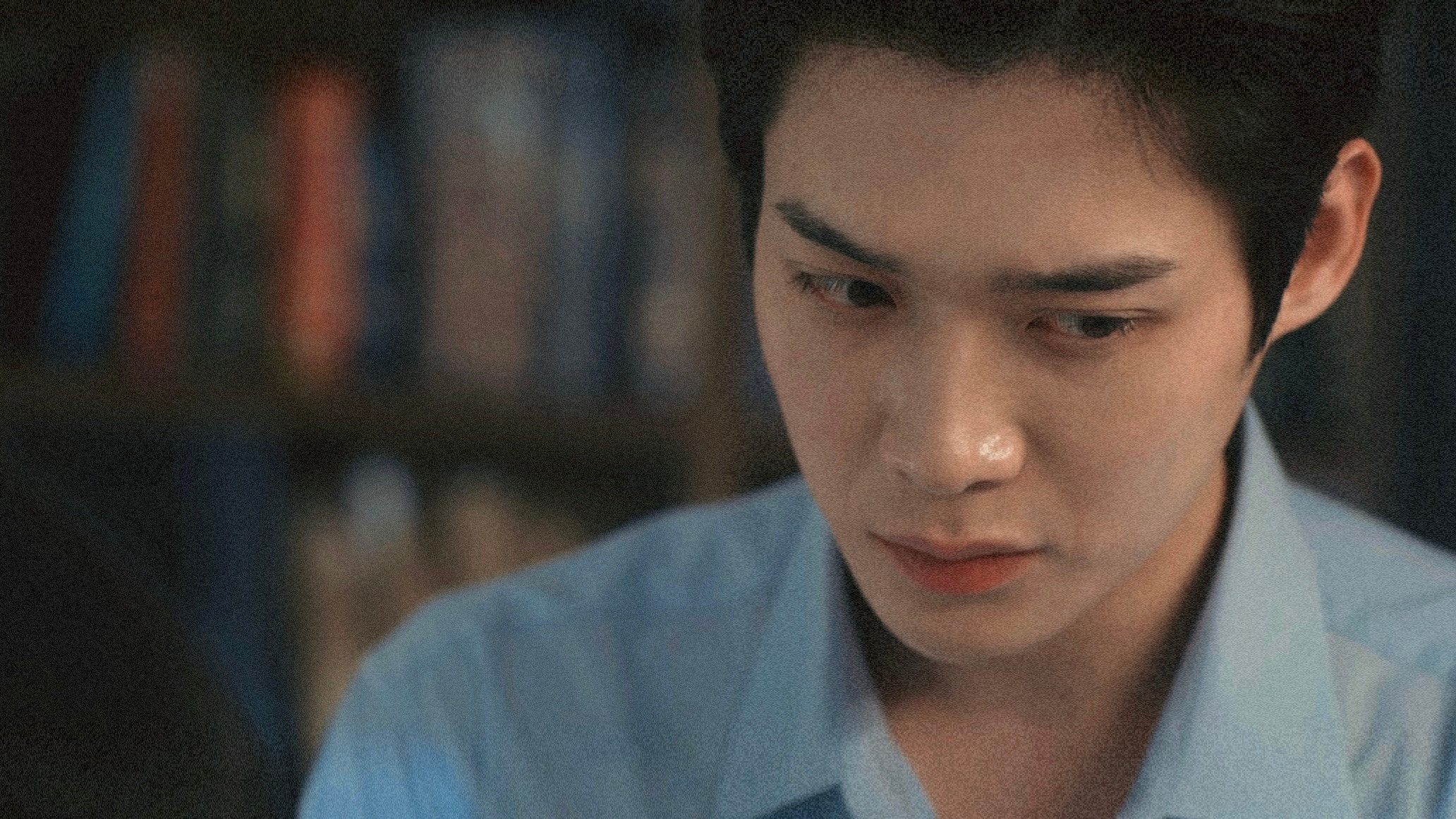 尾睫像一双蝴蝶翅膀 