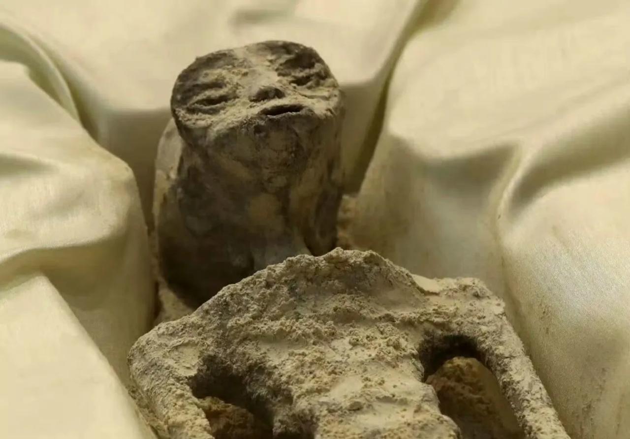 墨西哥版外星人的后续来了，
不出意外的话结果会很意外！
据报道，此次墨西哥外星人