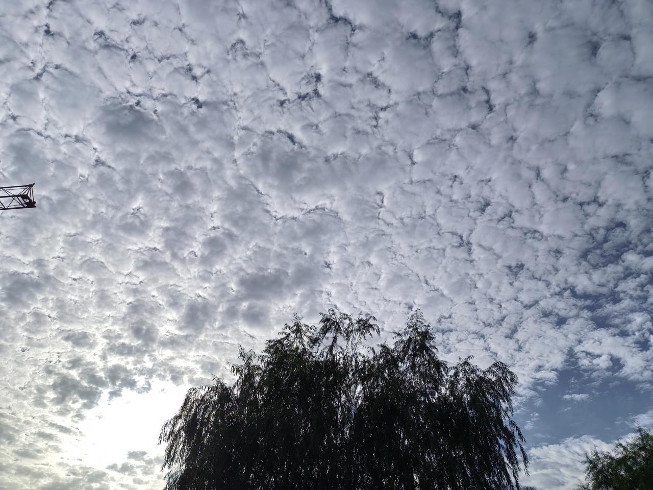 一早起来看见这么美的天空，记录